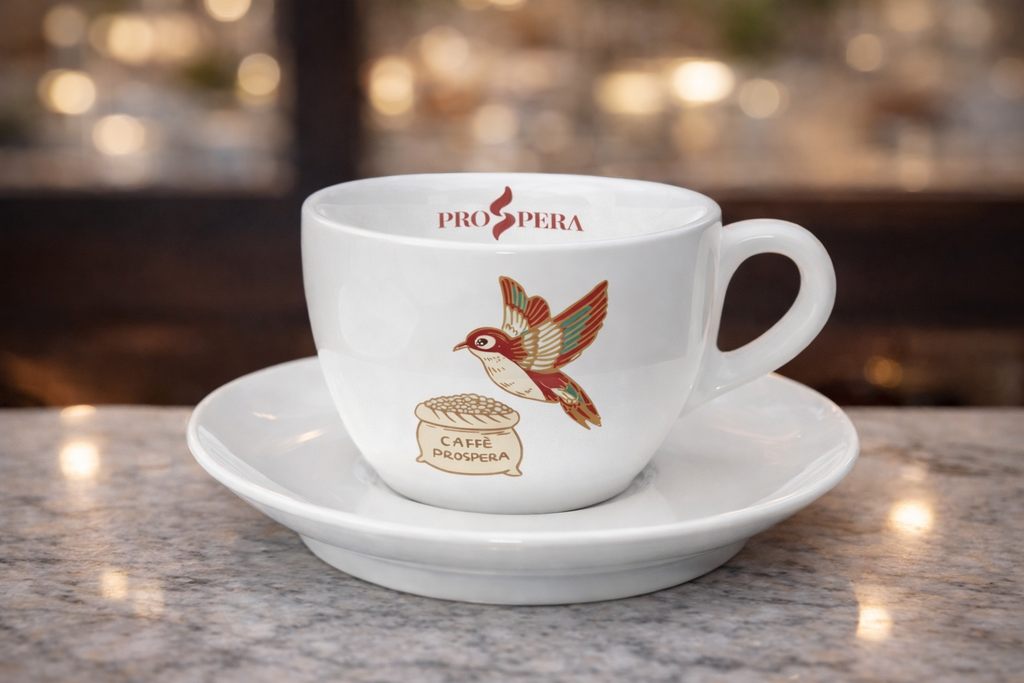 Tazza e Piattino Cappuccino 6/scatola
